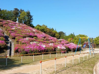 🌳 히로시마시 삼림공원 잔디광장(히로시마시 신린코엔 시바후히로바)